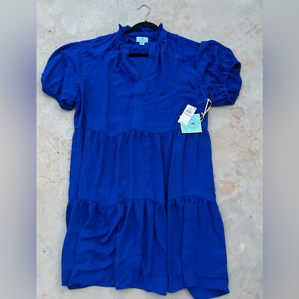 CeCe Royal Blue Garment - Picture 3 of 5